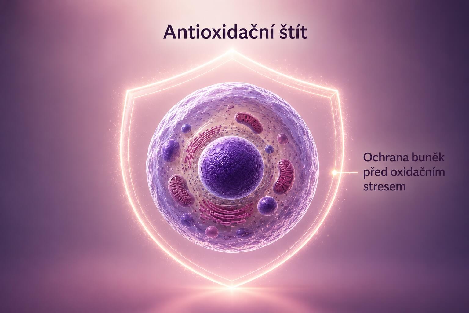 Antioxidační ochrana buněk